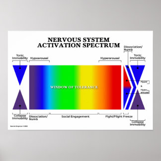 Nervous System Activation Spectrum Poster