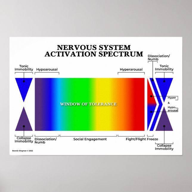 Nervous System Activation Spectrum Poster (Front)