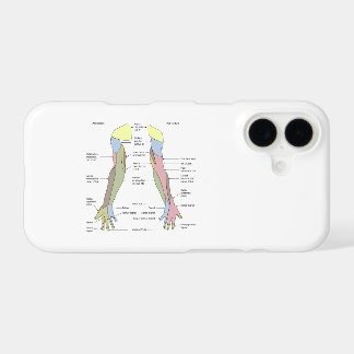 Nervous System cutaneous innervation upper limb iPhone 17 Case