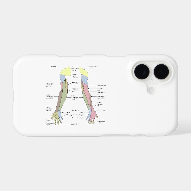 Nervous System cutaneous innervation upper limb Case-Mate iPhone Case (Back (Horizontal))
