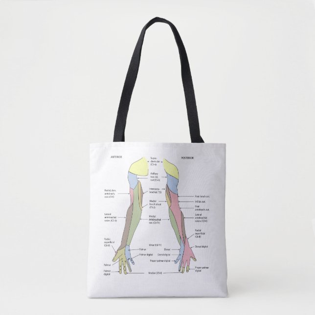 Nervous System cutaneous innervation upper limb Tote Bag (Front)