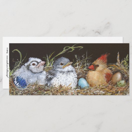 Nest Babies flat cards (Front/Back)