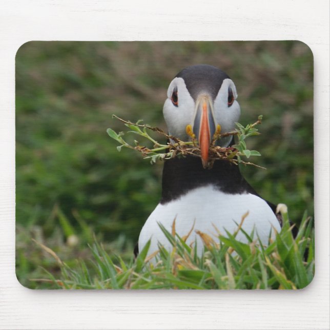 Nest Builder Puffin Mouse Pad (Front)