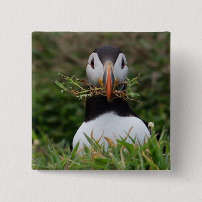 Nest Builder Puffin Pinback Button (Front)