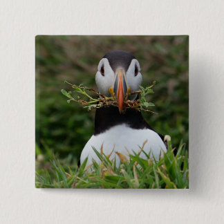 Nest Builder Puffin Pinback Button