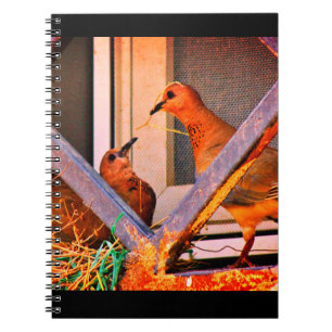 Nest Building Notebook