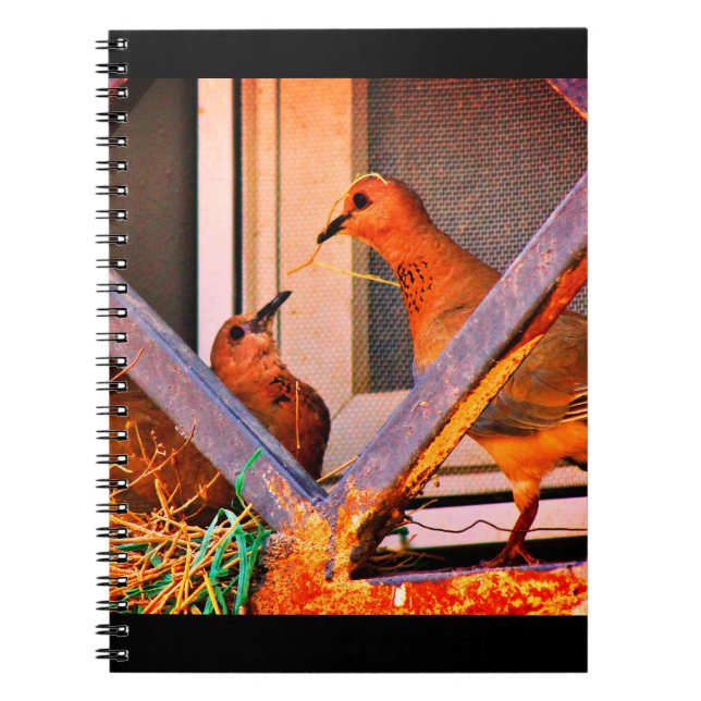 Nest Building Notebook (Front)