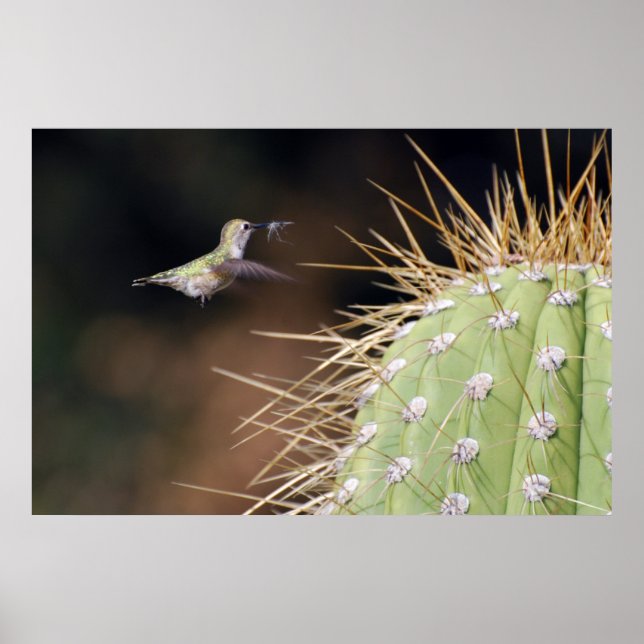 Nest Maker Poster (Front)