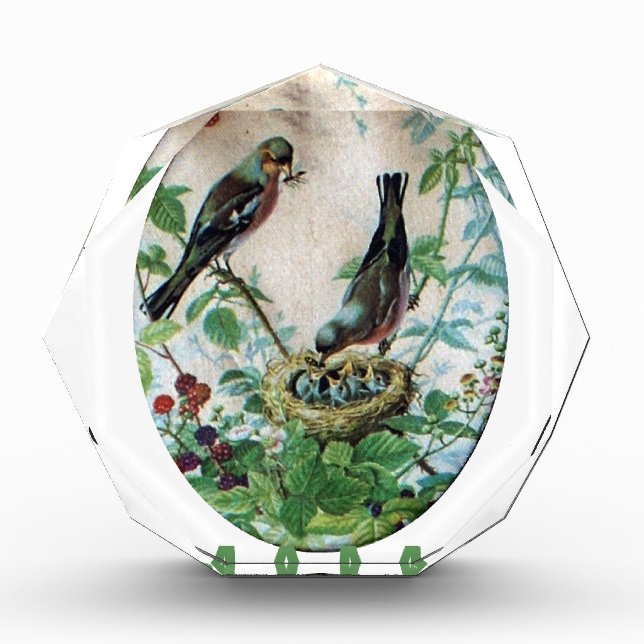 Nest of Joy: Family's Nourishing Young Spirit Love Award (Front)