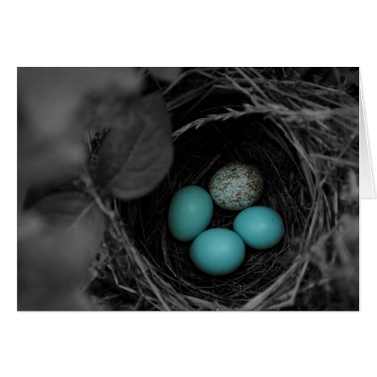 Nest parasitism (Front Horizontal)