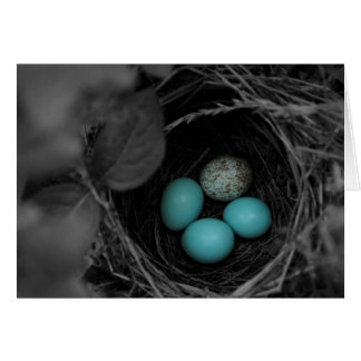 Nest parasitism cards