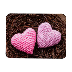 Nest With Hearts Magnet