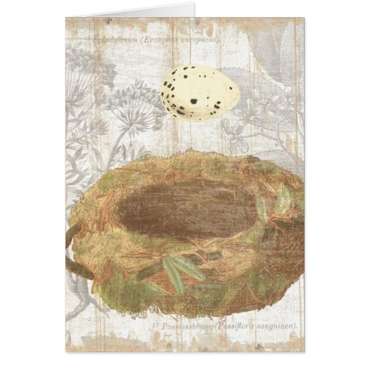 Nest with Speckled Egg Cards (Front)