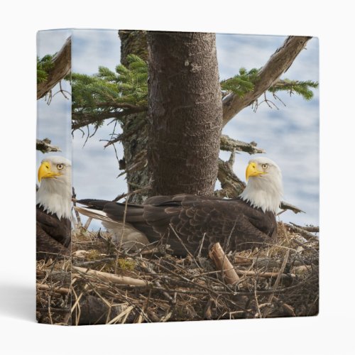 Nesting Bald Eagle 3 Ring Binder