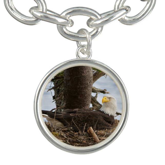 Nesting Bald Eagle Bracelet (Design)