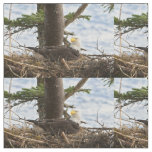 Nesting Bald Eagle Fabric