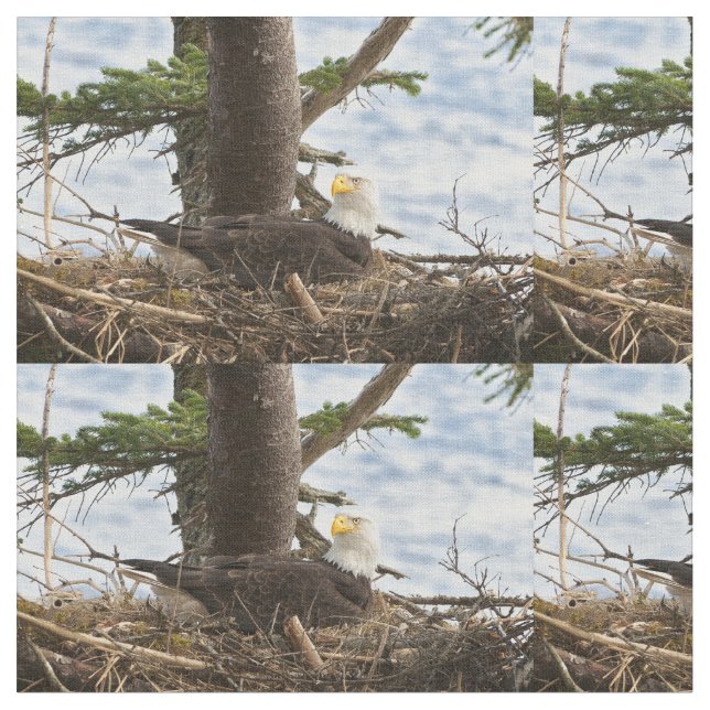 Nesting Bald Eagle Fabric (Close Up)