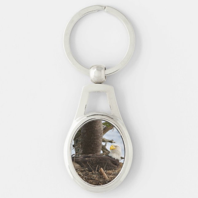 Nesting Bald Eagle Keychain (Front)