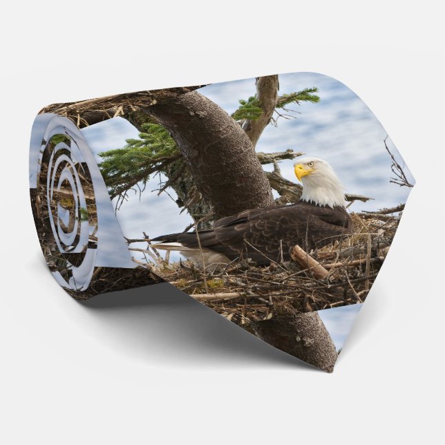 Nesting Bald Eagle Neck Tie (Rolled)