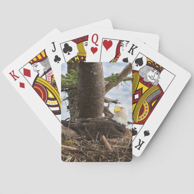 Nesting Bald Eagle Poker Cards (Back)