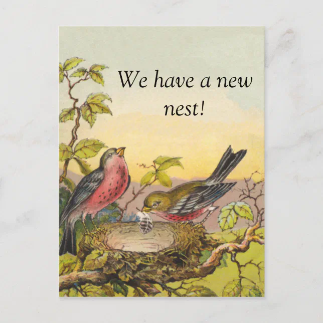 Nesting Birds New Address Postcard (Front)