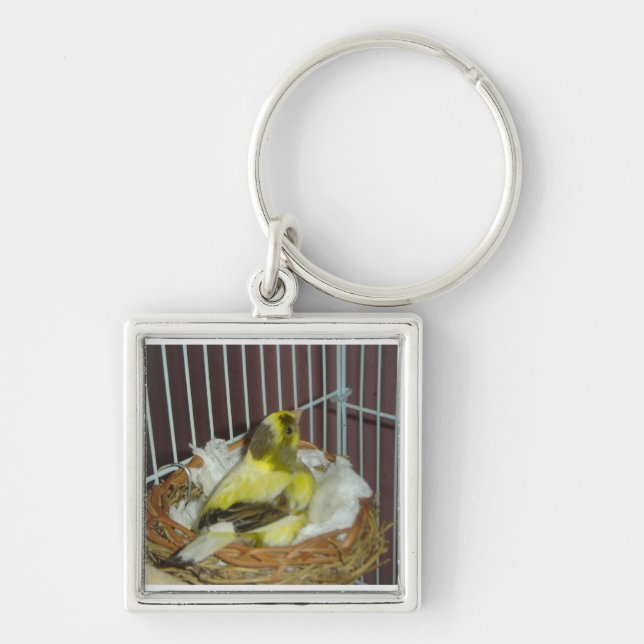 Nesting canary keychain (Front)