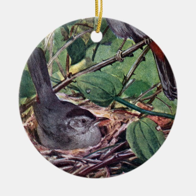 Nesting Gray Catbirds Ceramic Ornament (Front)