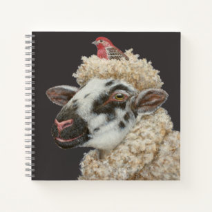Nesting house finch with sheep notebook