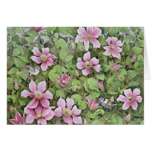 Nesting in Clematis Cards (Front Horizontal)