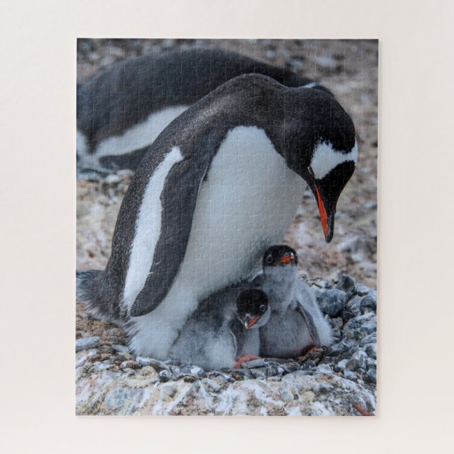 Nesting Penguin and Chicks On Ice Jigsaw Puzzle (Vertical)