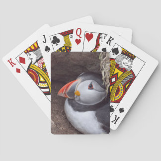 Nesting Puffin Poker Cards