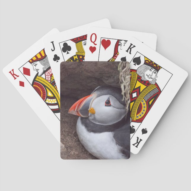 Nesting Puffin Poker Cards (Back)