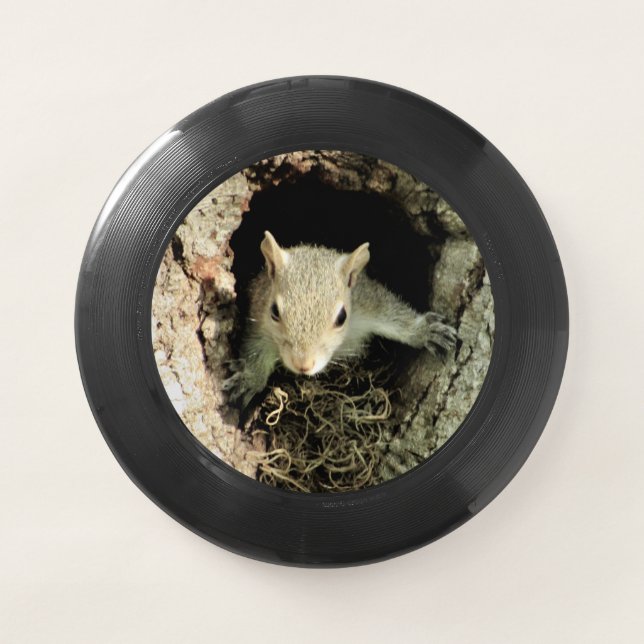 Nesting Squirrel Frisbee (Front)