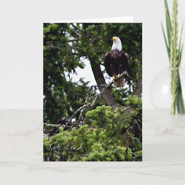 Nestling Card (Front)