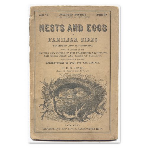 Nests and Eggs of Familiar Birds Tissue Paper
