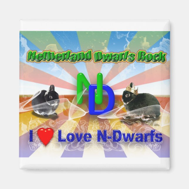 Netherland Dwarf Bunny Magnet (Front)