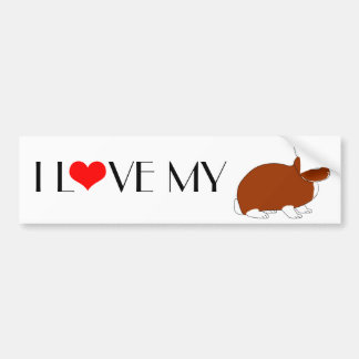 Netherland Dwarf Rabbit Bumper Sticker