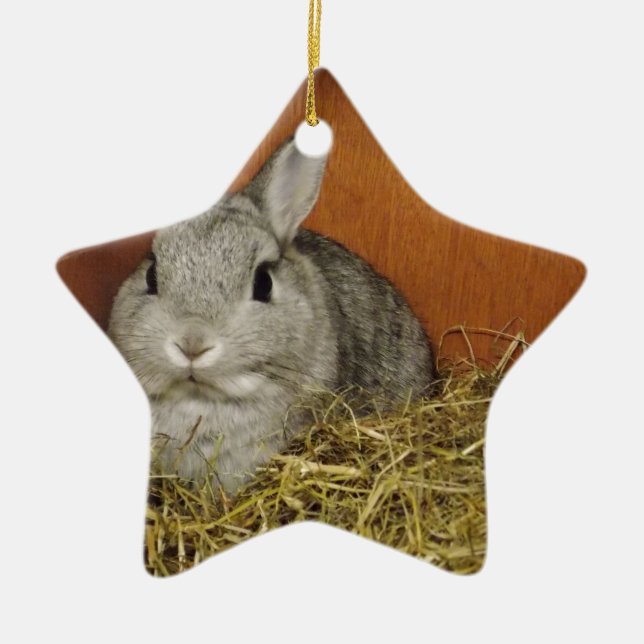 Netherland Dwarf Rabbit Ceramic Ornament (Front)