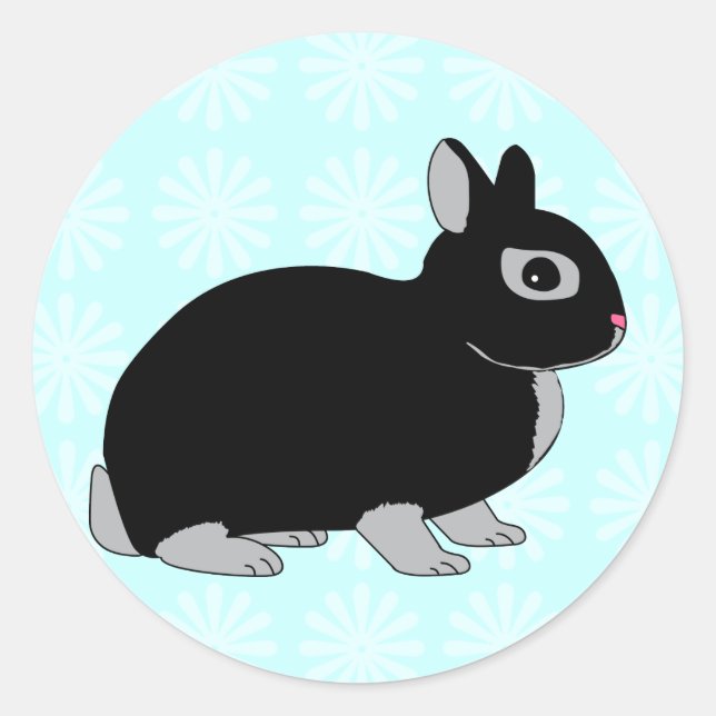 Netherland Dwarf Rabbit Classic Round Sticker (Front)