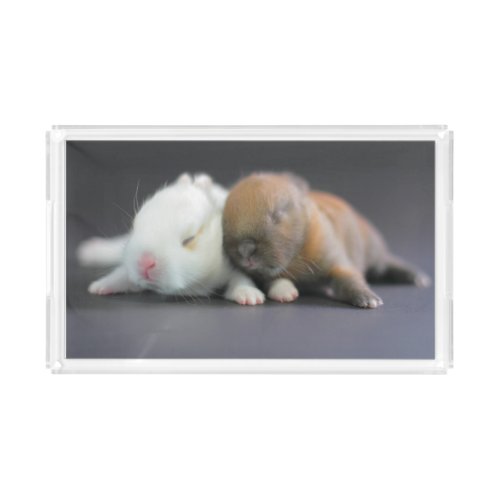 Netherland Dwarf Rabbits Acrylic Tray