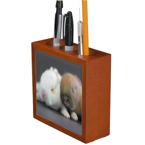 Netherland Dwarf Rabbits Desk Organizer