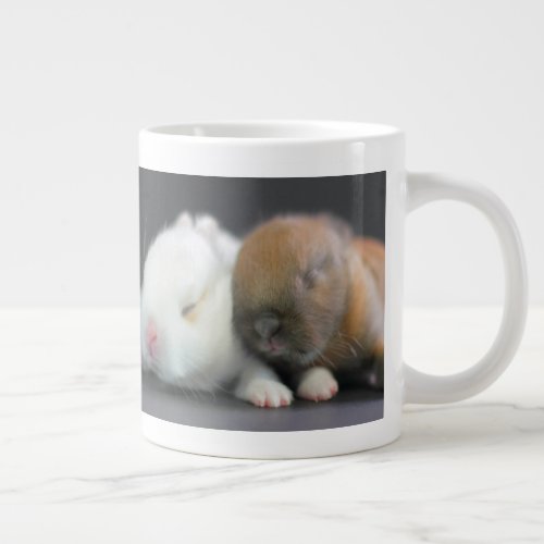 Netherland Dwarf Rabbits Giant Coffee Mug