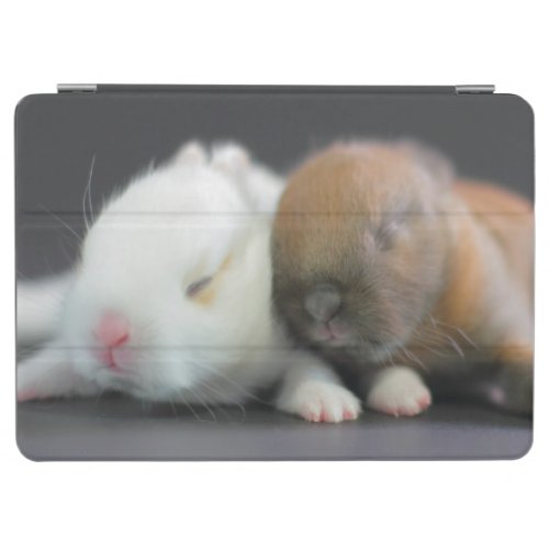 Netherland Dwarf Rabbits iPad Air Cover