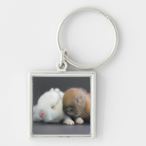 Netherland Dwarf Rabbits Keychain