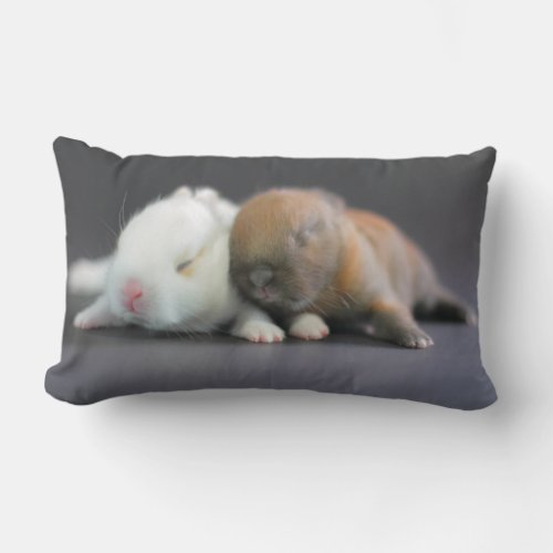 Netherland Dwarf Rabbits Lumbar Pillow