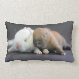 Netherland Dwarf Rabbits Lumbar Pillow