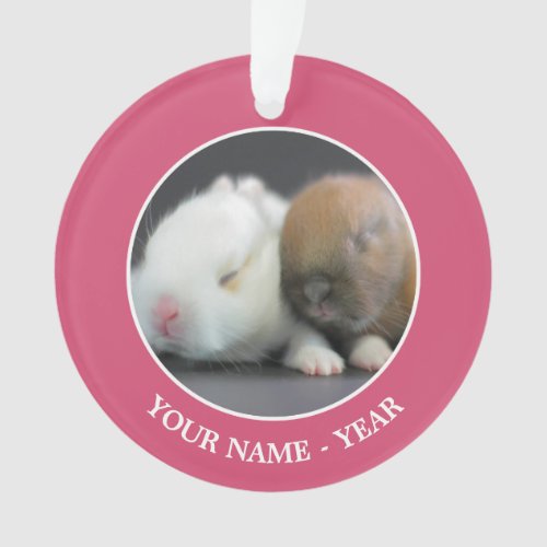 Netherland Dwarf Rabbits Ornament