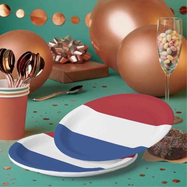 Netherland flag paper plates (Multi)
