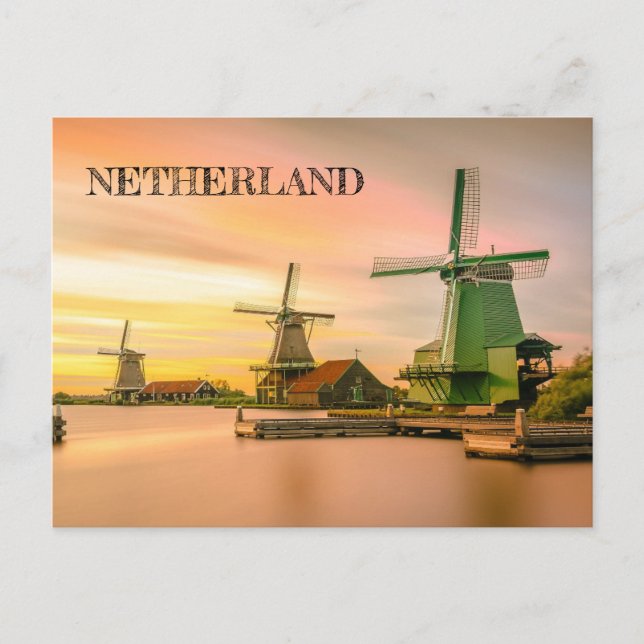 Netherland Windmills Postcard (Front)