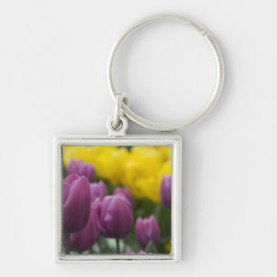 Netherlands aka Holland), Lisse. Keukenhof 10 Keychain